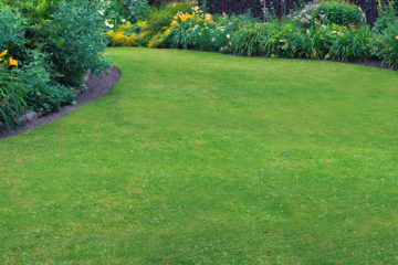 Planting and Lawn Care
