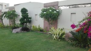 garden design karachi